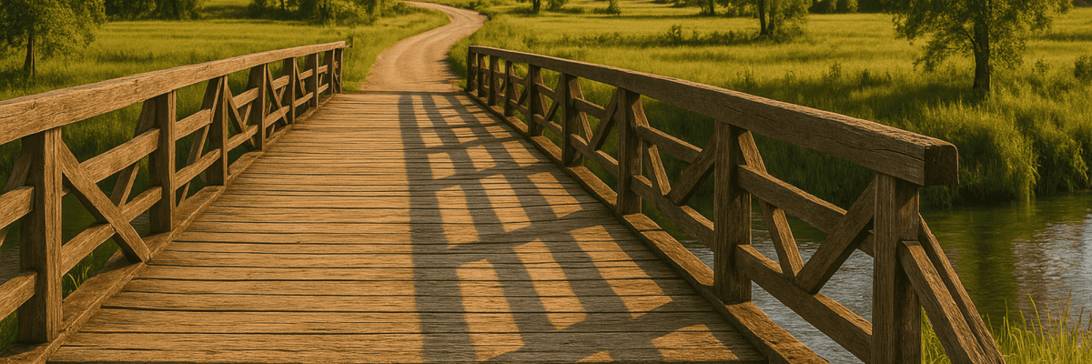 Adobe Express - file