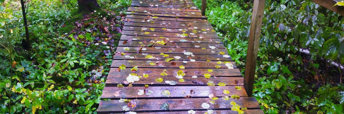 Depositphotos_442991084_XL